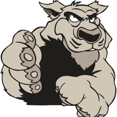 AR5 COUGAR 21 RQC 縮圖