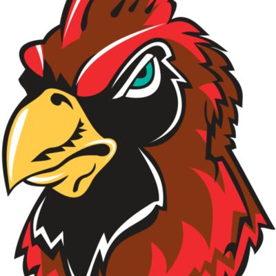 CARDINAL HD0501 RQC 縮圖