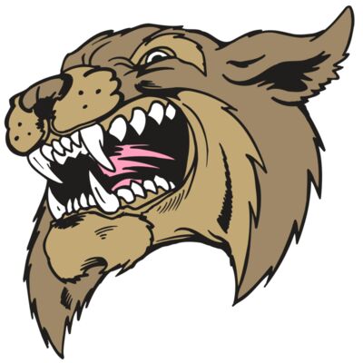 AR5 BOBCAT 09 RQC 縮圖