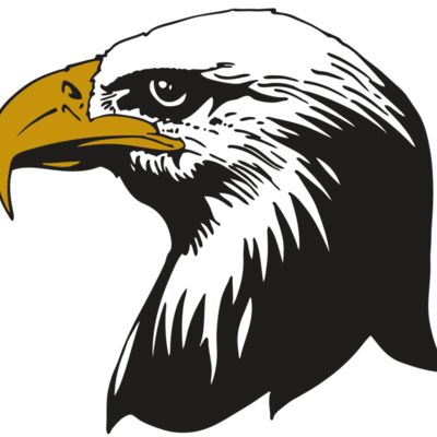 AR EAGLE 87 RC 縮圖