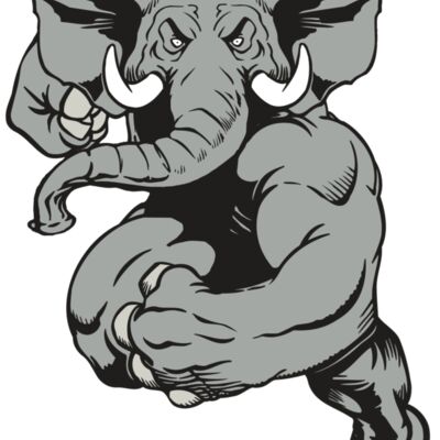 AR ELEPH 18 RC 縮圖