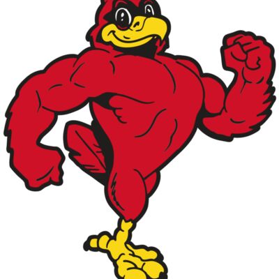 AR CARDINAL 41 RC 縮圖