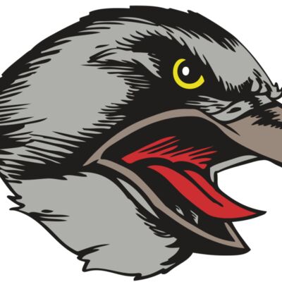 BAW HWK FLCN 13 RC 縮圖