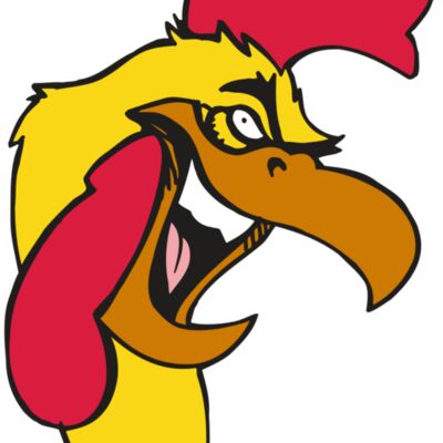 AR5 Gamecock 08 RQC 縮圖