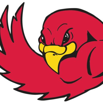 AR FALCON 18 RC 縮圖