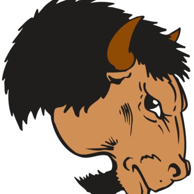 AR BUFFALO 16 RC 縮圖