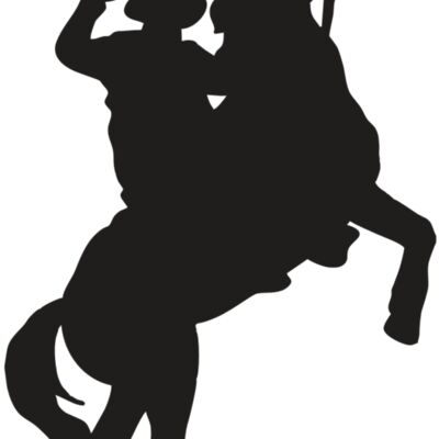 AR COWBOY 26 RC 縮圖