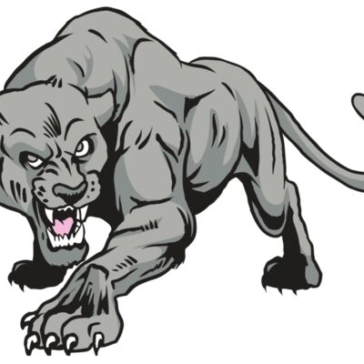 AR31 COUGAR 01 RQC 縮圖