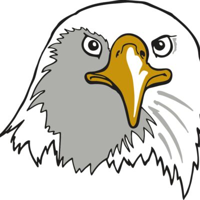 AR EAGLE 39 RC 縮圖