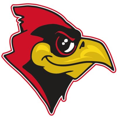 AR CARDINAL 38 RC 縮圖