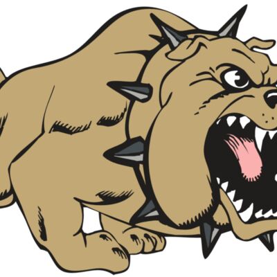 BAW BULLDOG 01 RC 縮圖