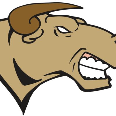 AR BULL 30 RC 縮圖