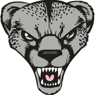 BAW CHEETAH 15 RC 縮圖