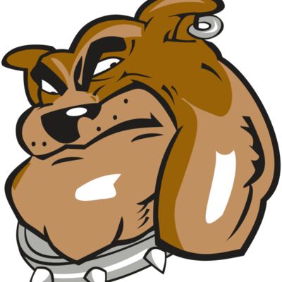 BULLDOG HD0501 RQC 縮圖