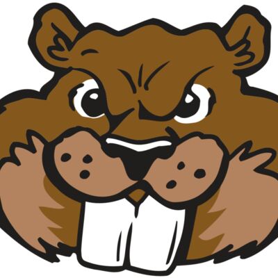 AR BEAVER 10 RC 縮圖