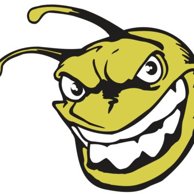 AR5 BEE 08 RQC 縮圖