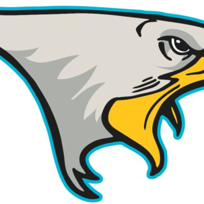 AR14 EAGLE FBALL 01 RQC 縮圖