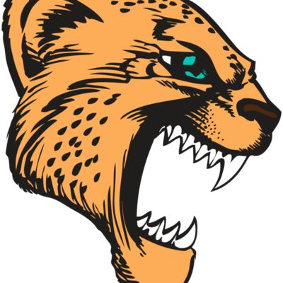 BAW CHEETAH 11 RC 縮圖