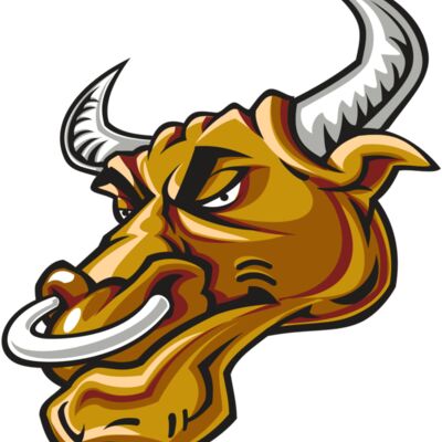 BULL HD0502 RQC 縮圖