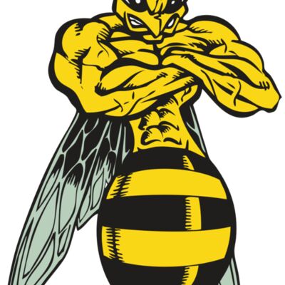 BAW BEE 16 RC 縮圖