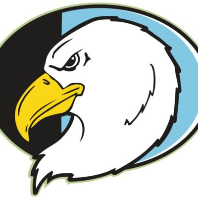 AR EAGLE 55 RC 縮圖