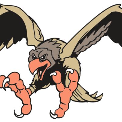 AR EAGLE 15 RC 縮圖