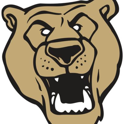 AR BEAR 13 RC 縮圖