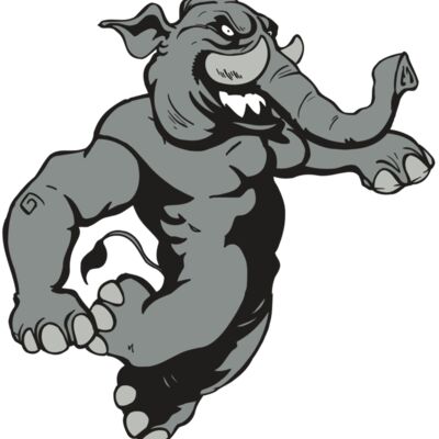 AR5 Elephant 09 RQC 縮圖