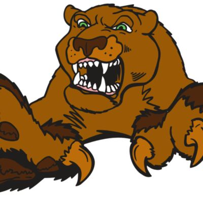 AR5 COUGAR 30 RQC 縮圖