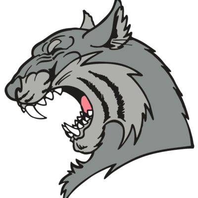 AR WILDCAT 41 RC 縮圖