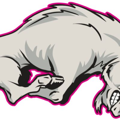 AR29 GOAT 01 RQC 縮圖