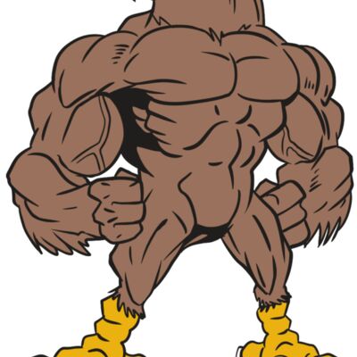 AR13 FALCON 01 RQC 縮圖