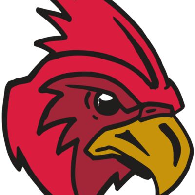 AR5 CARDINAL 01 RQC 縮圖