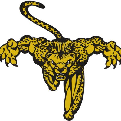 BAW CHEETAH 08 RC 縮圖