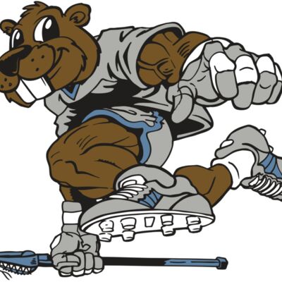 AR8 BEAVER 04 RQC 縮圖