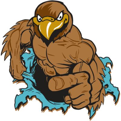 AR22 HAWK 01 RQC 縮圖