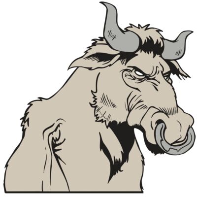 AR5 BULL 08 RQC 縮圖