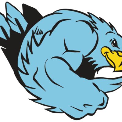 AR HAWK 24 RC 縮圖