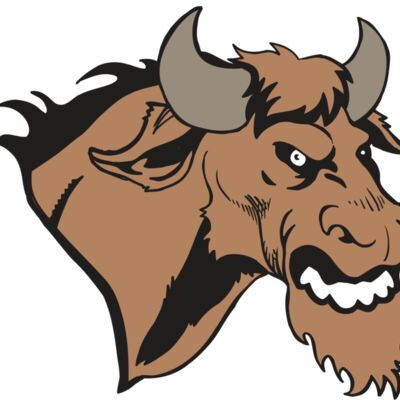 AR5 BULL 09 RQC 縮圖