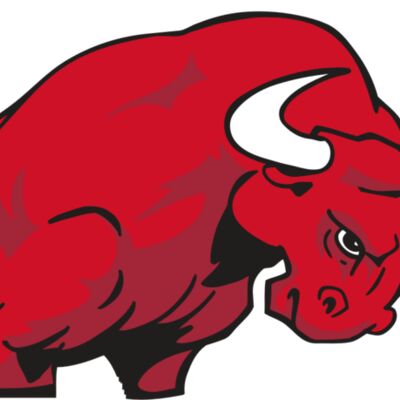 AR BULL 12 RC 縮圖