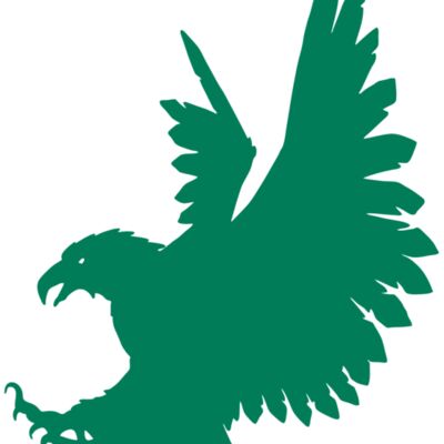 AR EAGLE 88 RC 縮圖