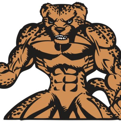 BAW CHEETAH 07 RC 縮圖