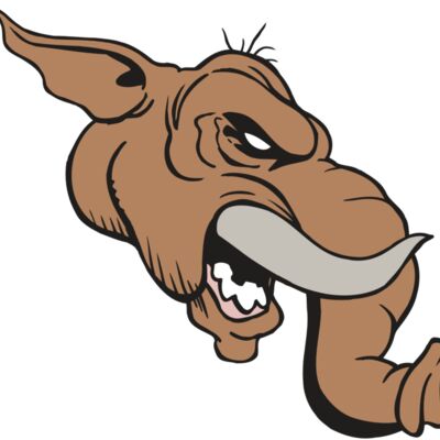 AR5 Elephant 15 RQC 縮圖