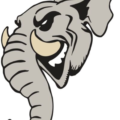 AR5 Elephant 11 RQC 縮圖