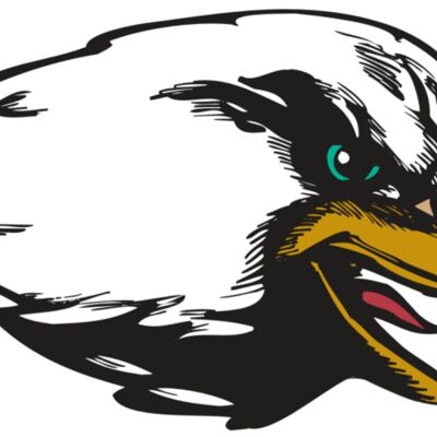 BAW EAG 09 RC 縮圖