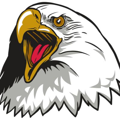 AR22 EAGLE 01 RQC 縮圖