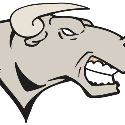 AR BULL 18 RC 縮圖