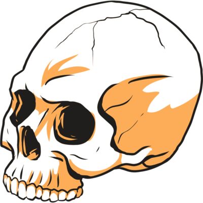 AR24 SKULL 13 RQC 縮圖