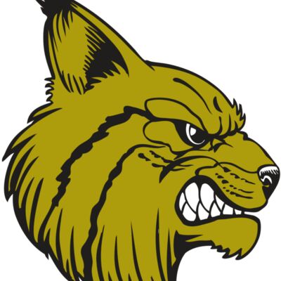 BAW BOBCAT 16 RC 縮圖