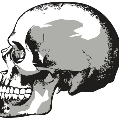 AR24 SKULL 02 RQC 縮圖